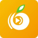 波罗派漫画纯净版_logo