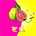 橘子直播间